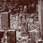 日本の家族墓はますます衰退する